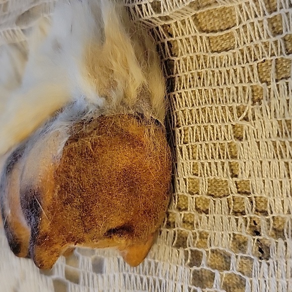 Vintage Squirrel Deco - Picture 5 of 6